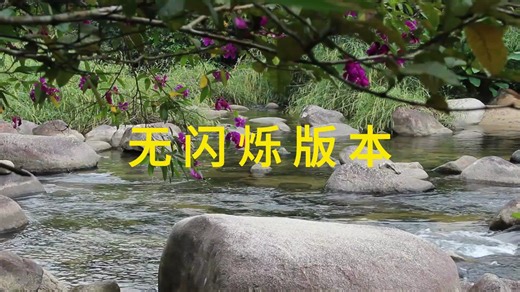 40赫兹同频声光 40Hz同频声光 无闪烁版本