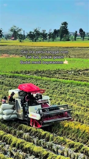 MAXXI ||#automobile #kombi #kombisawah #maxxibimo102standar #maxxibimoterbaru #combineharvester