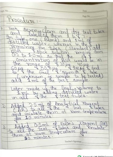 BZYCL 136 EXP Estimation of Proteins by Lowry's Method | Experiment | Physiology and Biochemistry