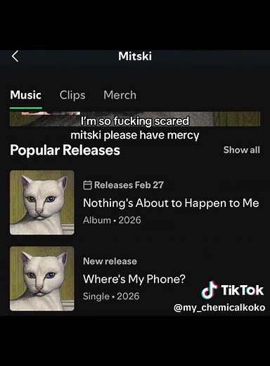 Where's My Phone? Exploring Mitski's Emotional Depth