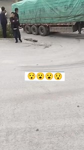 2.3K views | Master Truck Driver on Reels | Facebook