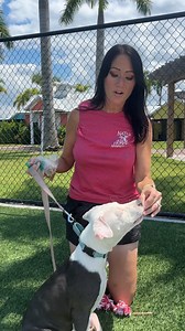 WE NEED YOUR HELP! ❤️🐾Our shelter is FULL and adoptions are at an all time low. We need help clearing our cages so we can take in the line of animals waiting for a space and save even more lives. Please consider coming out to #adopt this weekend. 🐱 $10 Cat Adoptions 🐶 Reduced adoption fees on dogs 4 months and older We're open SATURDAY 10am-4pm! 📍 4951 Lorraine Rd, Bradenton, FL 🔗 nateshonoranimalrescue.org/adopt | Nate's Honor Animal Rescue Center