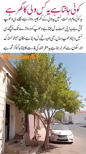 The Miracle Tree at the Saint’s Door#power of Allah#Islamic video#viral video#prayer of Allah