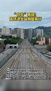 "White snake" reappears! The high-speed train winds its way in and out of the station. #tech #train | Blueberry TV