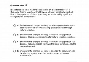 Island foxes are small mammals that live on an island off the c... | Filo