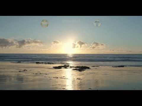 Spring Break(4K)- Relaxation Music Video