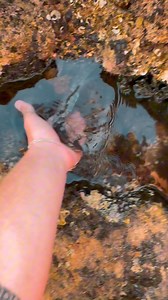 158K views · 2.2K reactions | Loni jsme se vydali na dobrodružnou...