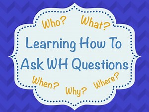 Learning How To Ask WH Questions