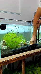 238K views · 1.2K reactions | Amazing Aquaristic Decor  #trending #aquarium #fishaquarium #fishtanksetup #fish #diy #shortsfeed #reels #fyp #viral | Aquatic Wonders Hub | Facebook