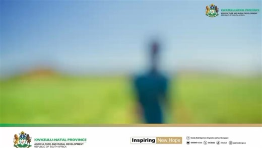 56 reactions · 37 comments | In the 2025/26 financial year, the...