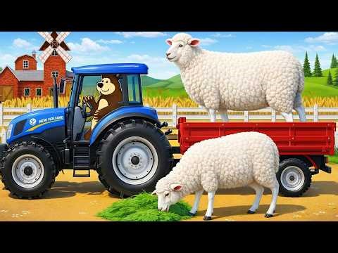 Farmer & Tractor: Delivering Sheep & Feeding 🐑🚜 | Real Farm Animation
