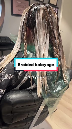 Braided Balayage Hair Color Process at Home