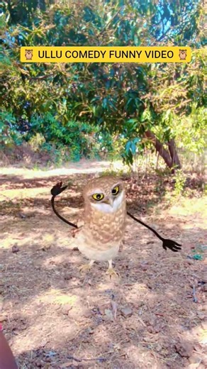 🦉 ULLU COMEDY FUNNY VIDEO 🦉#comedy #funny