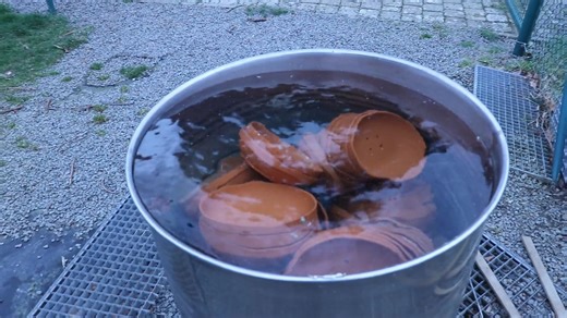 47 reactions · 4 comments | Join us on a guided loft tour with this week's featured FEPA BREEDER SERGE VAN ELSACKER-JEPSEN~BELGIUM. View the VAN ELSACKER-JEPSEN online auction OPEN NOW FOR BIDS here: https://www.featherselitepigeonauctions.com/auction/serge-van-elsacker-jepsenbelgium-344/bidgallery/ | Feathers Elite Pigeon Auctions | Facebook