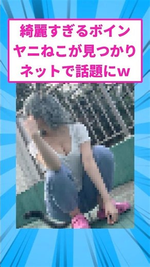 綺麗過ぎるヤニねこが見つかりネットで話題にw #コスプレ