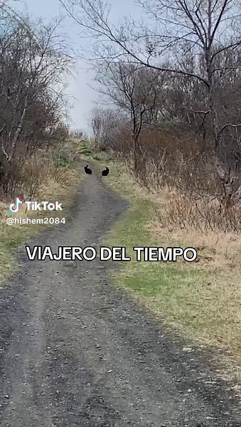 VIAJERO DEL TIEMPO. año: 2084 Mundo 34 #viajerodeltiempo #mision | time traveler