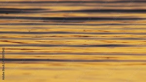 Full Frame Footage Of Sunlight Reflecting On Seawater With Bubbles