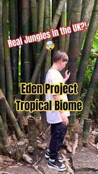 #walkingthrough #jungle in #edenproject #rainforest #biome #2026 #walkingtour #cornwall #uk #england