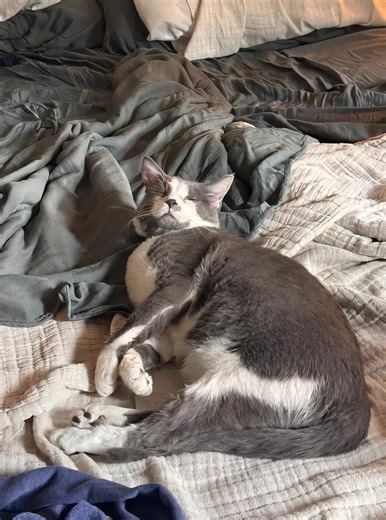 Dollar hoe 🍄😽 (@ddonaho3)’s videos with original sound - zoie