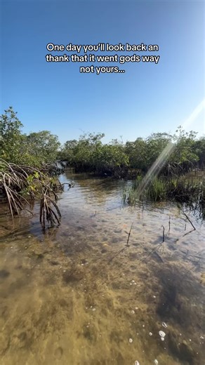 New setup #blowup #fyp #castking #paddelboard