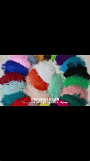 Everest Feather on TikTok