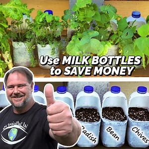 1.8M views · 10K reactions | Recycle your used MILK BOTTLEs 拏 | Self Sufficient Me | Facebook