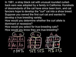 How to make your own true breeding variety of the animal or a plant