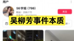 吴柳芳事件本质