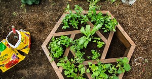 DIY Hexagon Planter