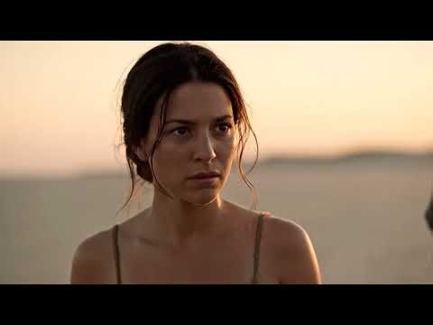 unraveling ancient bonds documentaries a lions hunt a herds power how prehistoric humans found frien