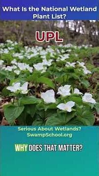 What Is the National Wetland Plant List?