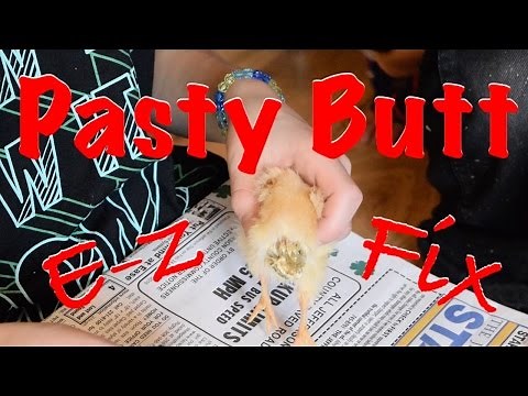 Pasty Butt! Easy Fix to a Fatal Problem