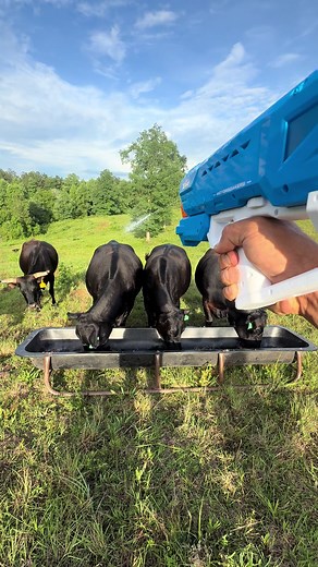 Shoo fly EDIT: This is not just water, it’s fly spray. Posted in the hidden comments for whatever reason. STARBAR PROLATE/LINTOX -HD. $20 water “toy” from Walmart. #fyp #alabama #farmlife #farmtok