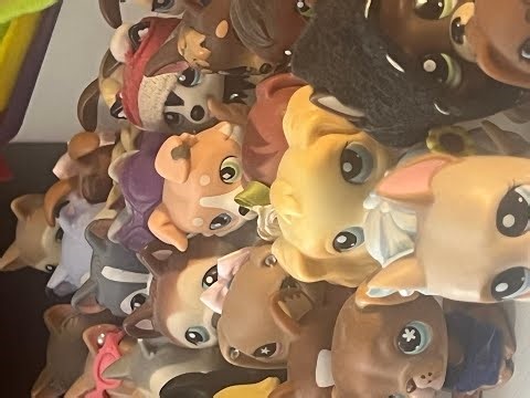 LPS Collection 2026 (Jax)