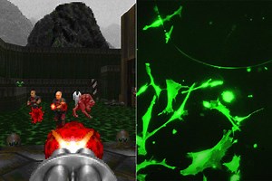 Gamer Attempts to Grow Rat Neurons and Teach Them to Play DOOM