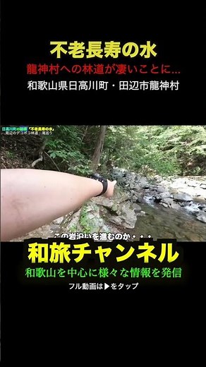 Water of eternal youth and longevity in Wakayama #Japanese Travel #Wakayama