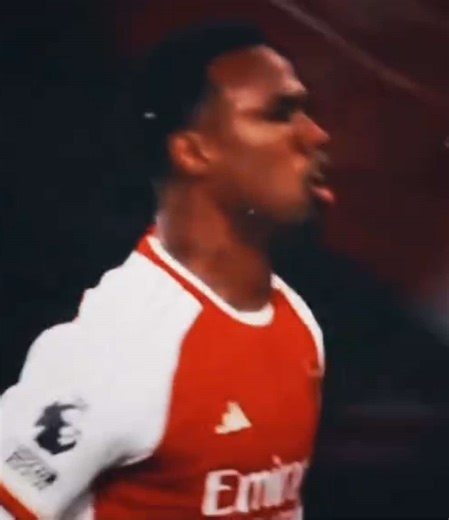 The Passion of Arsenal Fans: A Team Like No Other