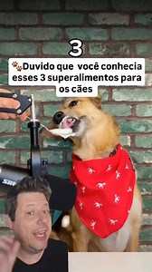 🍽️🐶 ALIMENTOS DO DIA A DIA QUE PODEM FAZER BEM AO SEU CÃO — COM MODERAÇÃO. Alguns itens simples da nossa rotina podem ser oferecidos aos cães como complemento, desde que do jeito certo. 🐾✨ 🍿 PIPOCA NATURAL (SEM SAL E SEM MANTEIGA) Leve, crocante e rica em fibras, ajuda na digestão e pode ser um petisco divertido. Contém vitaminas do complexo B e antioxidantes. ⚠️ Ofereça apenas estourada no ar, sem óleo, sal ou temperos. 📏 Pequenas quantidades e apenas ocasionalmente. 🥄 IOGURTE NATURAL SEM