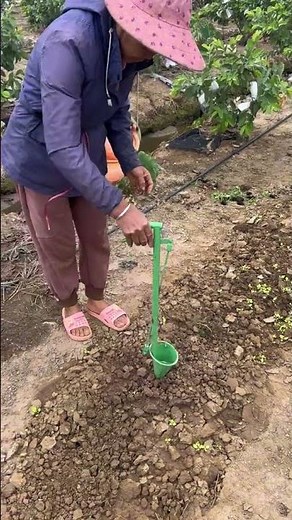 Efficient Vegetable Transplanting with Manual Seedling Planter#FarmingTools#Vegetable Planting