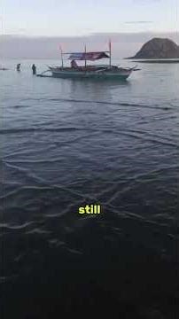 Why You Must Leave the Water IMMEDIATELY if You See This! 🌊⚠️