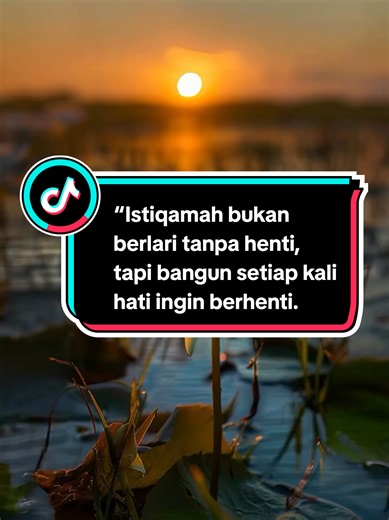 ff collection on TikTok