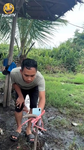 So Funny! 😂 He Thought It Was a Real Cobra! | Part 175