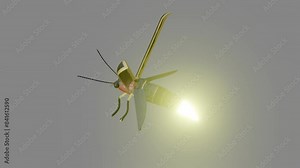 A firefly glowing and flapping wings and wing cover as 3d modeling animation.
