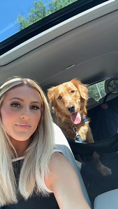 1.6K views · 358 reactions | Woody update! Found a new vet, and he is doing so much better. No more limping for this guy! He’ll be running again soon enough! 凉 | McKenna King | Facebook