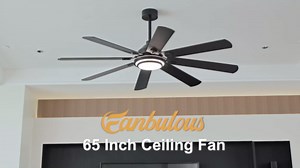 Fanbulous 65 Inch Ceiling Fans with Lights and Remote, Oil Bronze Ceiling Fan with 8 Dual-Color Blades, Indoor/Outdoor Large Ceiling Fans, Reversible DC Motor, 6-Speed, 3CCT for Living Porch Patio - Amazon.com