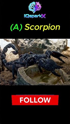 Which Animal Can Survive in Space? 😳🚀