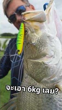 I want to get 6kg 🙄 #fishing New ☀️ Scattosaurus‼️Leader: #linesystem Rod: Element #seabass