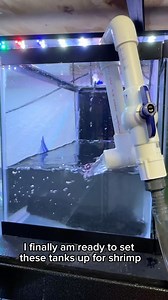 25K views · 1.3K reactions | Resetting a shrimp tank and making moss logs! #shrimp #moss #howto #dakuaquatics #fishkeeping #aquarium #aquariumhobby #fish #aquascape #freshwateraquarium #aquariumfish #plantedtank #aquariums #tropicalfish #fishkeeper #aquascaping #aquariumlife #plantedaquarium #nanofish #aquariumsofinstagram #freshwaterfish #freshwatertank #aquascaper #natureaquarium #freshwater #fishofinstagram #nature #nanotank #fishroom | Daku Aquatics | Facebook