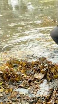 Epic Water Release After Street Drain Cleared!