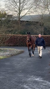 19K views · 643 reactions | LITTLE BIG BEAR looks a picture ahead of...